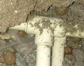 长兴测漏水多少钱