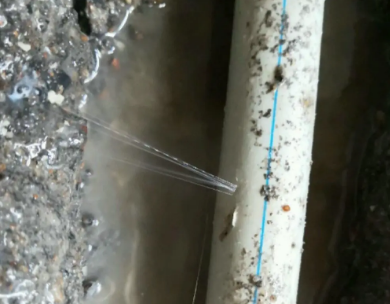 长兴测漏水哪家好